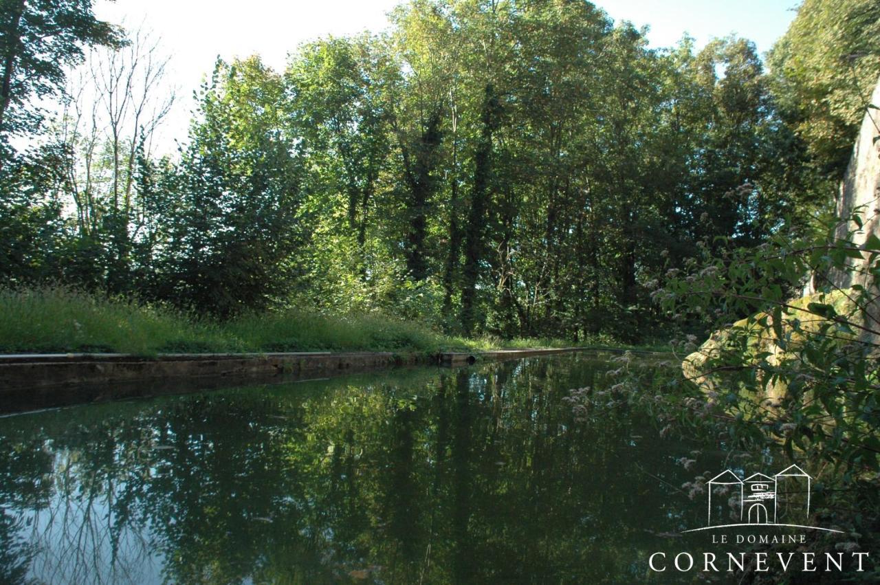 Domaine Cornevent - Le Scandinave Vernaison Extérieur photo