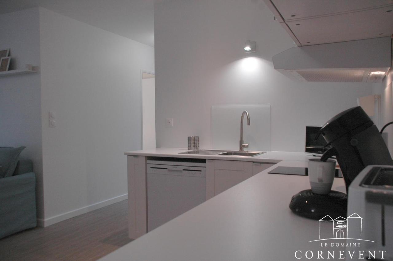 Domaine Cornevent - Le Scandinave Vernaison Extérieur photo