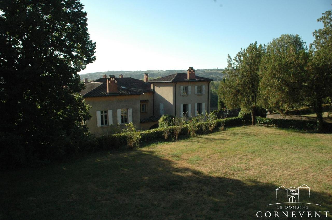 Domaine Cornevent - Le Scandinave Vernaison Extérieur photo