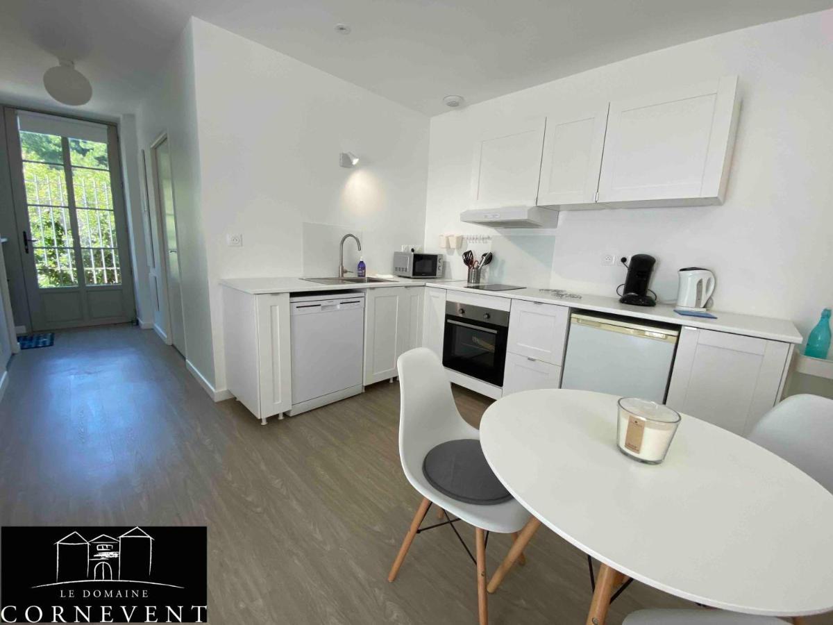 Domaine Cornevent - Le Scandinave Vernaison Extérieur photo